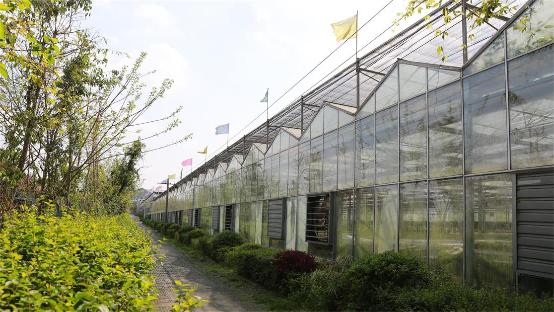 四川玻璃溫室大棚